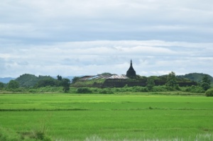 Pagoda seen from far